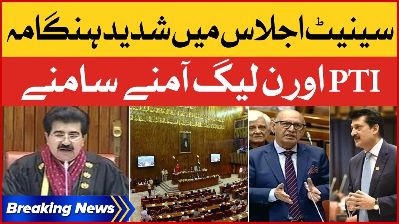 Senate Session Fight | PTI VS PMLN | Shehzad Waseem Speech | Breaking News