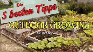 Outdoor Growing im Frühjahr: 5 einfache Tipps für Anfänger (2025) 🌱