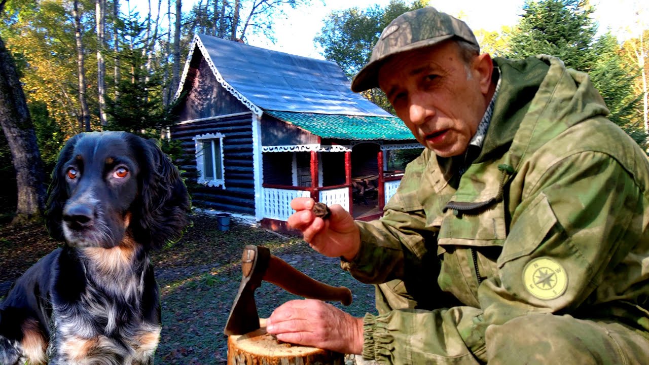 Таёжный Теремок. Лесная Заимка. База отдыха в глухой Приморской ...