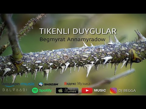 BEGGA - TIKENLI DUYGULAR | #djbegga #tikenliduygular