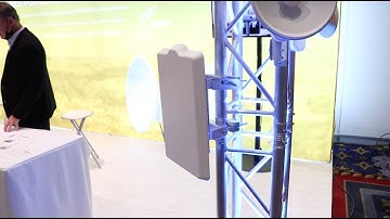 Mimosa at WISPAPALOOZA 2021