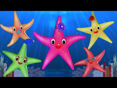 étoile de mer doigt famille | Starfish Finger Family | Baby Toons Network Française | dessins animés