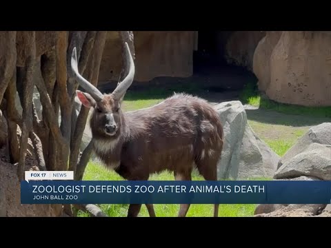 Zoologist defends John Ball Zoo after animal's death