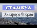 Аквариум Флория в Стамбуле - большой обзор!