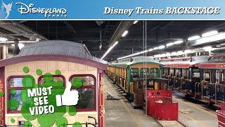 🚂 Backstage at the Disneyland Paris Railroad steam trains