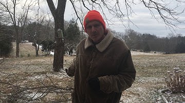 How To Protect Wild Birds At Feeders With A Cat Guard