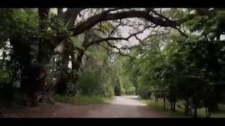 Scenic Road Alachua County Florida