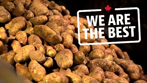 From P.E.I. potatoes to the world's best French fries | We Are The Best | CBC