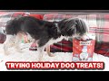 TRYING HOLIDAY DOG TREATS!