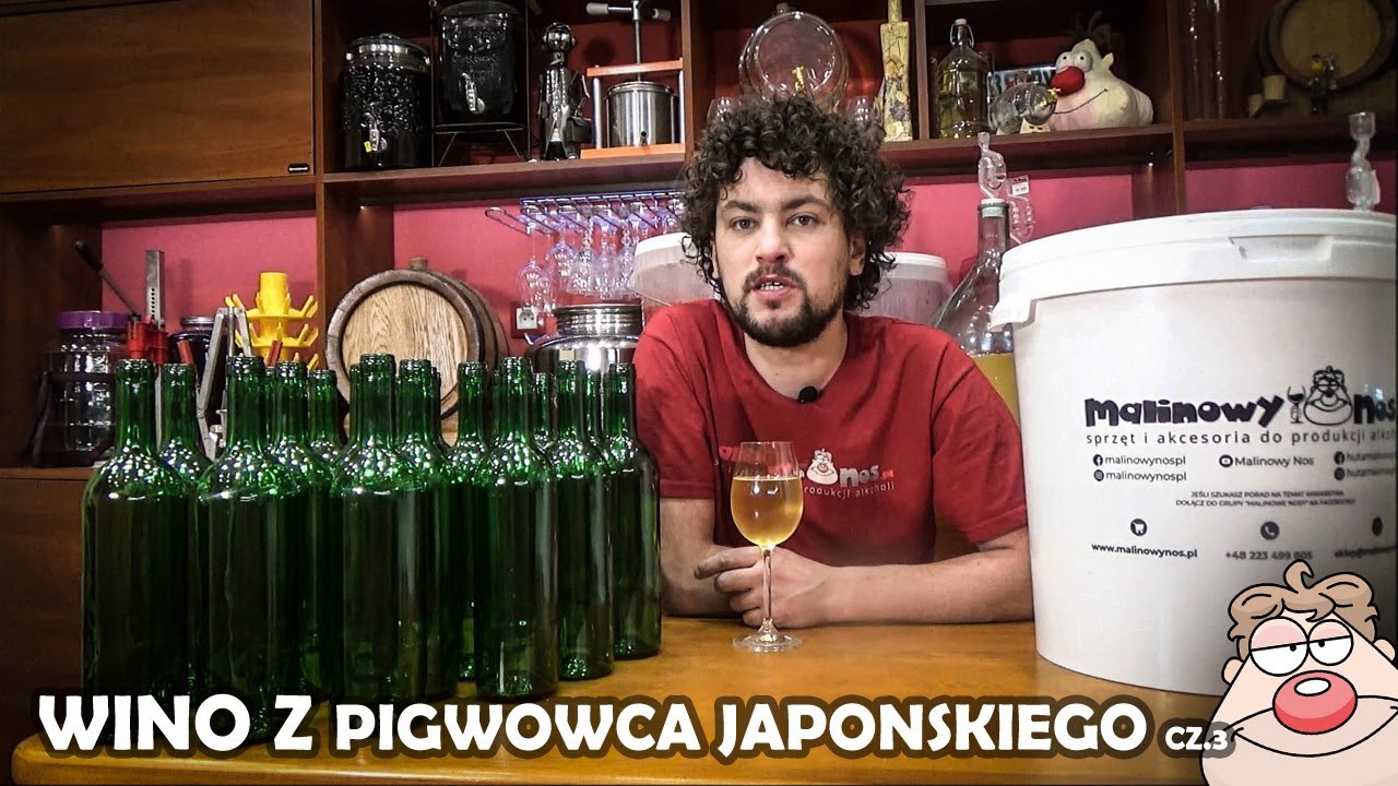 Wino musujące? z Pigwowca Japońskiego? cz.3 Butelkowanie:)