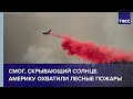 Смог, скрывающий солнце. Америку охватили лесные пожары