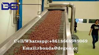 Best quality morning cereals cocoa flakes machine production line