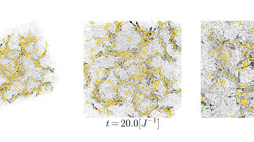 The 3D discrete Gross-Pitaevskii time-evolution video. Supplementary Video to Figure 4.9
