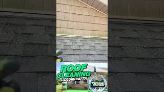 Revitalize Your Columbia TN Home: The Importance of Roof Washing | Quick Info