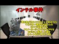 猫ミームでわかるインテル事件#猫ミーム #猫マニ #猫ミーム茶番劇