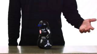 MIP Tutorial