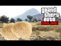 The Current State of GTA 5 Online..