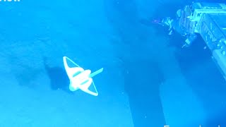 GLOBALink | Chinese scientists create bio-inspired soft robotic fish for deep-sea exploration screenshot 5