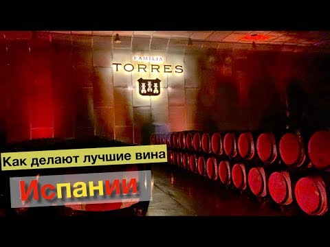 Torres винодельня - лучшее вино Испании | раскрываем секреты, как делают легендарные вина