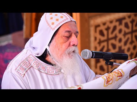 قداس صوم السيدة العذراء نيافة الانبا ديمتريوس مطران ملوي وأنصنا والأشمونين