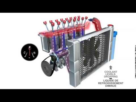 Pompe à Eau - Mécanique Automobile / Water Pump - Car Mechanic