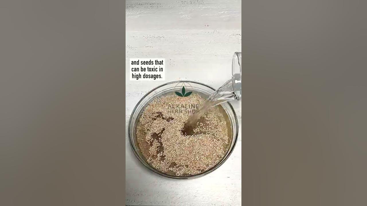 Why You Should Soak Your Quinoa Before Cooking It shorts YouTube