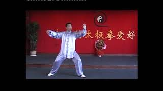 Chen Tai Chi Master Cannon Fist Old Frame Chen Style Master Liu Yong
