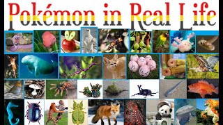 Pokémon in real life! Can you guess these REAL LIFE Pokémon??