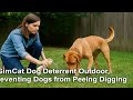 🐶 GimCat Dog Deterrent Outdoor, Preventing Dogs from Peeing Digging Review 🚫