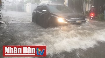 Mưa lớn kéo dài làm đường ngập, nhiều cây xanh ngã đổ