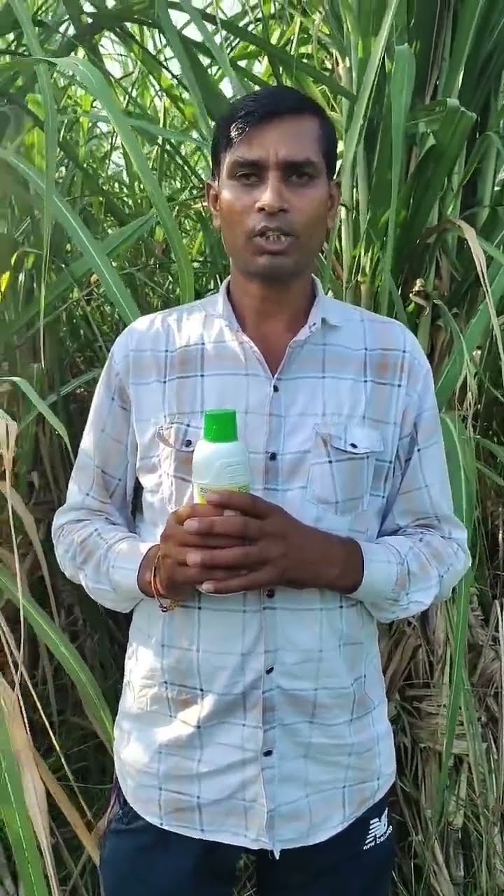 ड्रोन से की गन्ने पर नैनो यूरिया की स्प्रे, विकास कुमार को कैसा मिला इसका रिजल्ट, सुनिए