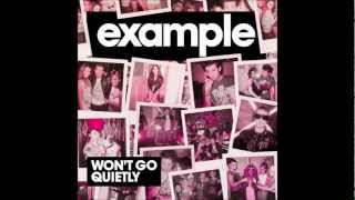 Video thumbnail of "Example- Won't Go Quietly [LYRICS]"