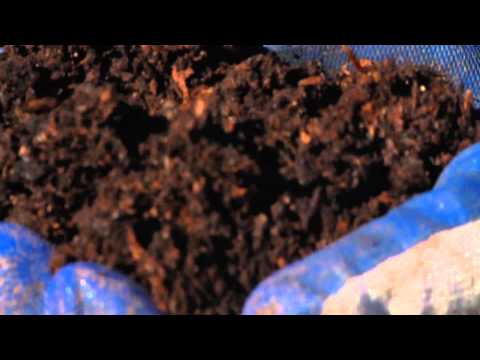 how to make and use compost, with lee reich - A Way To Garden