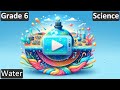 The Importance of Water in Life and Nature