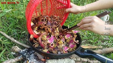 Hoa núc nắc - món ăn đặc sản của rừng núi Tây Bắc | sen moon tv