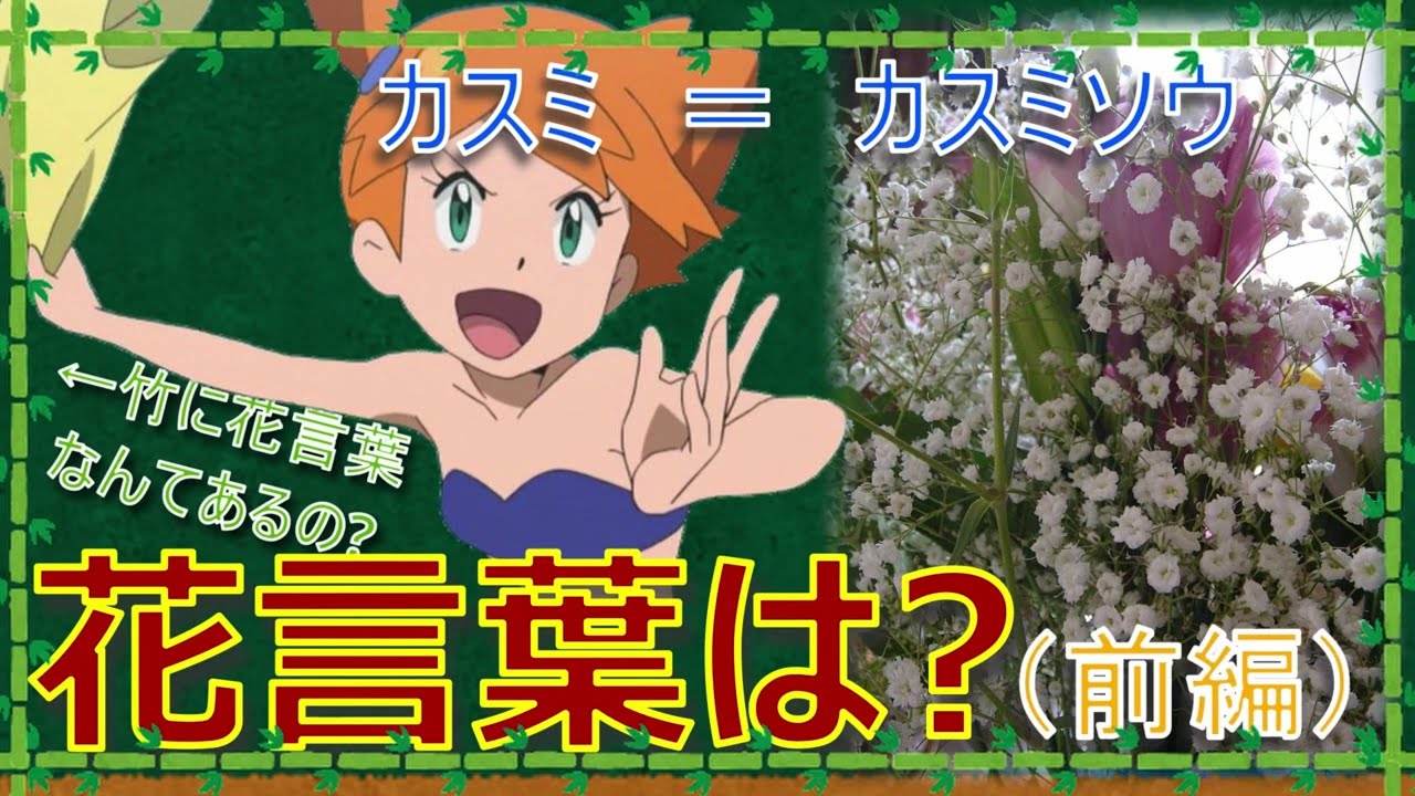 カントージムリーダーの名前の由来と花言葉 前編 ポケモン解説 Youtube