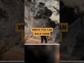 Videos You Can Walk Inside