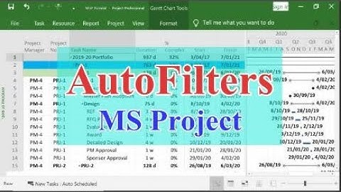 Autofilter in Microsoft Project