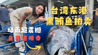 台湾东港华侨市场 渔船老板要把第一条黑鲔鱼800一公斤卖给我第一次看黑鲔鱼从卸货到拍卖到分解全过程 罐罐一脑袋问号 鱼界道明寺原来也是选秀出身