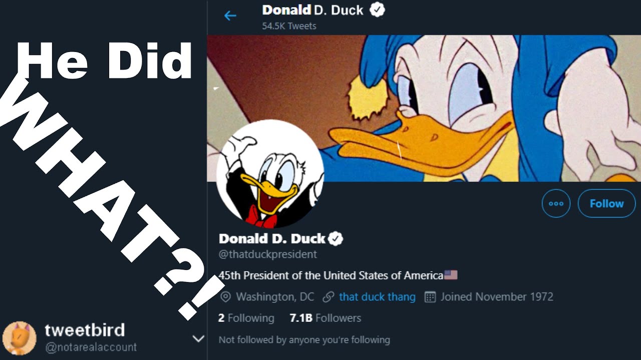 Donald Duck Did WHAT