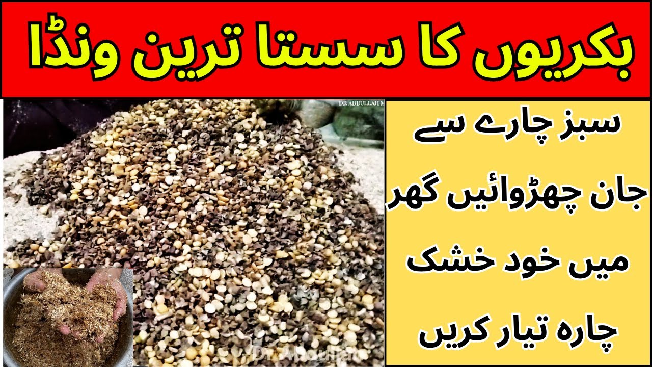 Best Wanda Formula for goats | Feed formulation of goats at rooftop Farming 