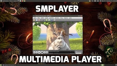 SMPlayer Multimedia Player for Linux