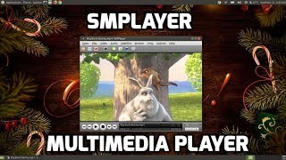 SMPlayer Multimedia Player for Linux screenshot 4