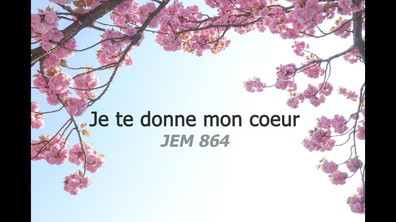 Cover instrumental Je te donne tout Je te donne mon cœur JEM 864