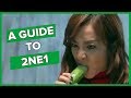 An (un)helpful guide to 2NE1