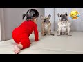 Our funniest best dog and baby moments of 2023
