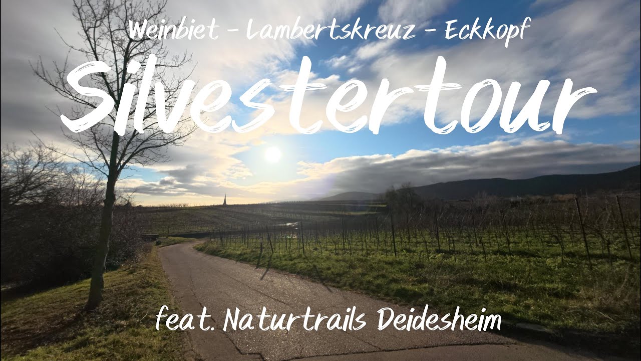 Silvestertour 2025/2026 - aktueller Stand Naturtrails Deidesheim
