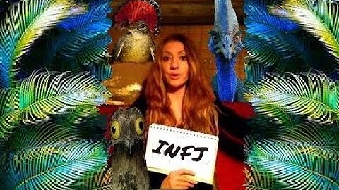 ENTP on INFJs Pt1: Cuckoobirdness, FuncShui & Dolla Billz