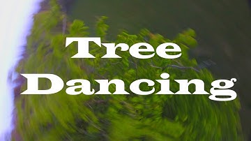 Dancing with trees - FPV