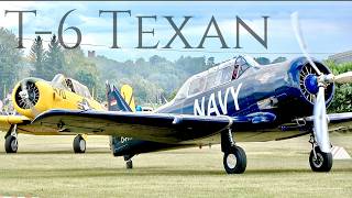 WARBIRD SOUND! 2X North American T-6 Texan in Action at Guenzburg Airfield!